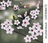 branch almond with flower | Shutterstock .eps vector #135308672