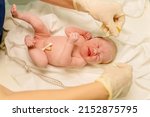 Small photo of Newborn baby being examined by midwife moments after birth with tape measure and gloves checking vital sign and head size in neonatal care crying caucasian daughter.