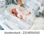 Small photo of Close up of doctor's hands in gloves performs manipulations with a premature new born baby born at 32 weeks gestation in intensive care unit in a medical incubator.