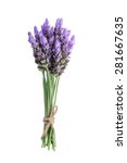 Bundle Of Lavender Flowers...