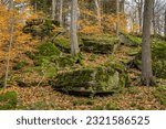 Small photo of Trail in the carolinian forest at Dundas Valley Conservation Area, a protected UNESCO World Biosphere Reserve in Hamilton, Ontario.