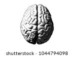 Monochrome engraving brain illustration in top view isolated on white background