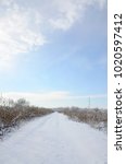 Snow Covered Wild Swamp With A...