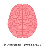 vector illustration of human... | Shutterstock .eps vector #1996557638