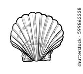 seashell  sea shell  nature... | Shutterstock .eps vector #599862338