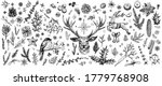 Winter Forest Hand Drawn Vector....