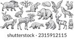 forest animals  vector sketch....