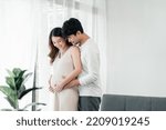 An asian couple seems very happy. A handsome husband is  embracing his beautiful pregnant wife next to the window in the living room.
