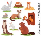 Forest Animals Vector Cartoon...