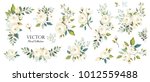 set of floral branch. flower... | Shutterstock .eps vector #1012559488