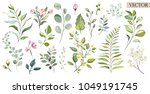 vector big set botanic elements ... | Shutterstock .eps vector #1049191745