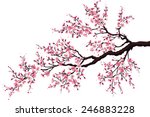 branch of a blossoming cherry... | Shutterstock .eps vector #246883228