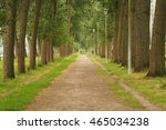 pathway | Shutterstock . vector #465034238