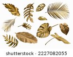 Gold monstera leaves plant frame isolated on a white background. top view. copy space. abstract.