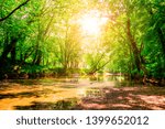 River in tropical rainforest with sunlight