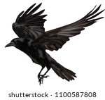 Free Raven Vector Graphics