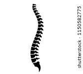 Spinal Cord Vector Icon...
