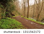 The Little River Trail offers an easy and scenery filled hike as it follows the course of the Little River in Great Smokey Mountains National Park