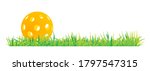 pickleball with green grass... | Shutterstock .eps vector #1797547315