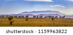 Landscape Panorama Of Flinders...