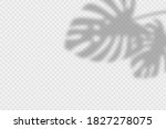 shadow overlay of monstara... | Shutterstock .eps vector #1827278075
