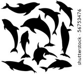 Vector Dolphins. These...