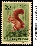 Small photo of HUNGARY - CIRCA 1953: A stamp printed in Hungary shows image of Red Squirrel (Mokus), circa 1953