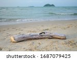 Fallen Log On Sand Beach With...