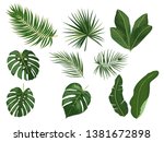 tropical palm leaves  jungle... | Shutterstock .eps vector #1381672898