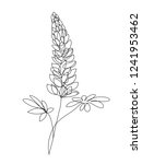 lupine flower one line drawing. ... | Shutterstock .eps vector #1241953462