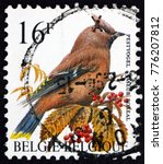 Small photo of BELGIUM - CIRCA 1994: a stamp printed in the Belgium shows bohemian waxwing, bombycilla garrulous, passerine bird, circa 1994