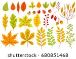 set of colorful autumn leaves... | Shutterstock .eps vector #680851468