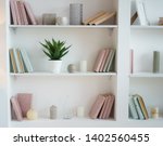 bookcase with pink and blue books. plant in pot. white interior. room decor.