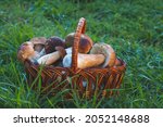 basket with cep mushrooms in... | Shutterstock . vector #2052148688