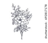 hand drawn flower bouquet in... | Shutterstock .eps vector #692817178