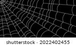 scary corner spider web. white... | Shutterstock .eps vector #2022402455