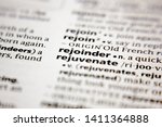 Small photo of Word or phrase rejoinder in a dictionary.