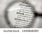 Small photo of The word or phrase Plunk in a dictionary