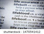 Small photo of Word or phrase Lifeblood in a dictionary