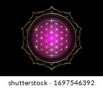 flower of life  yantra mandala... | Shutterstock .eps vector #1697546392