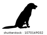silhouette of a dog on a white... | Shutterstock .eps vector #1070169032