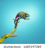 Colorful Chameleon On A Branch...