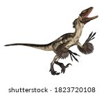 Deinonychus Dinosaur Roaring...