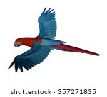 Scarlet Macaw  Parrot  Flying...