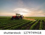 Tractor Spraying A Field Of...
