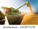 Pouring Corn Grain Into Tractor ...