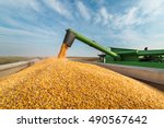 Pouring Corn Grain Into Tractor ...