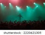 Small photo of Rap singer performing on concert in music hall. Silhouette of rapper singing on stage in night club. Popuar hip hop music festival. Crowd of fans partying on dance floor