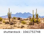 Four Peaks, a prominent landmark of the Mazatzal Mountains on the eastern skyline of Phoenix, Arizona, is framed by tall saguaro cacti in the desert.