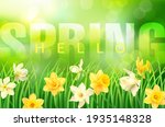 spring background with green... | Shutterstock .eps vector #1935148328